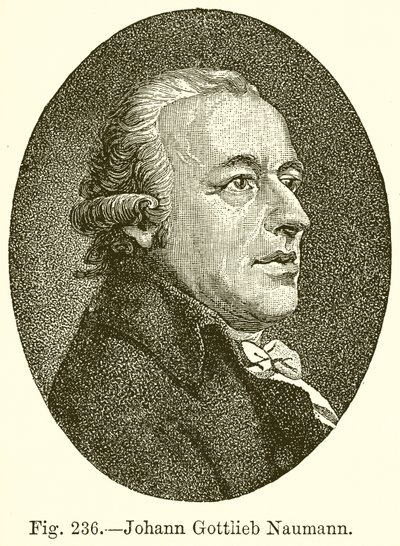 Johann Gottlieb Naumann de English School