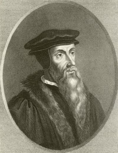John Calvin de English School