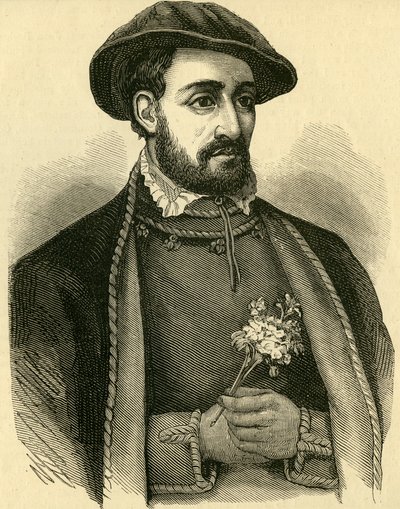 John Dudley, Duque de Northumberland (1502-53) de English School