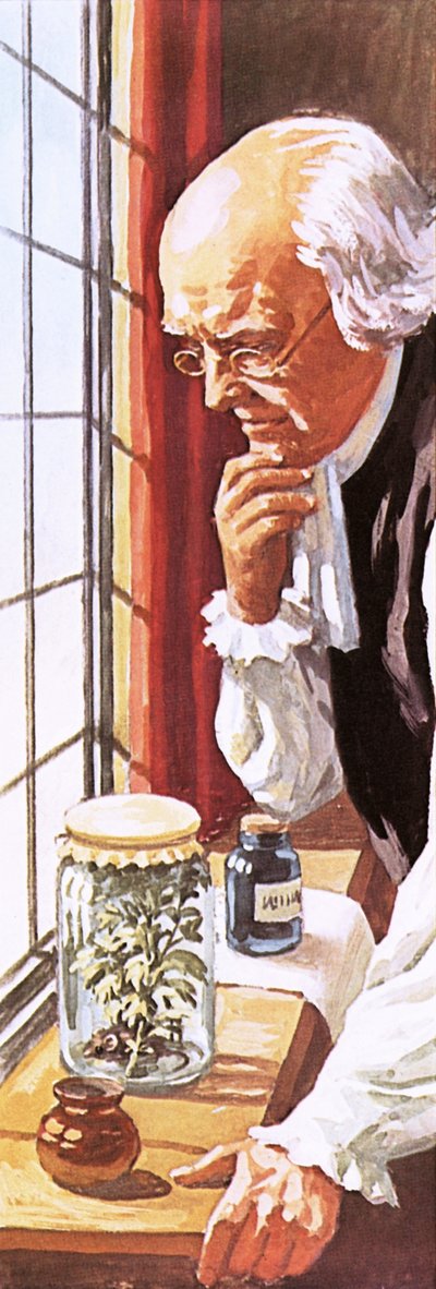 Joseph Priestley de English School