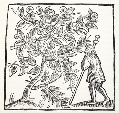 José de Arimatea y el Espino de Glastonbury, ilustración de Chap-books of the Eighteenth Century por John Ashton, pub. 1882 de English School