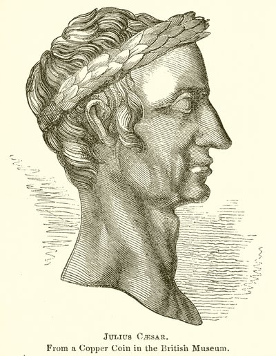 Julio César de English School