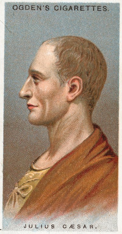 Julio César de English School