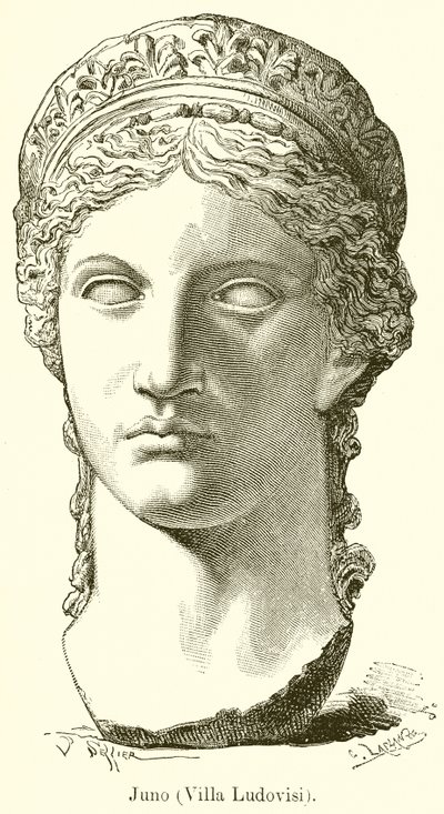 Juno de English School