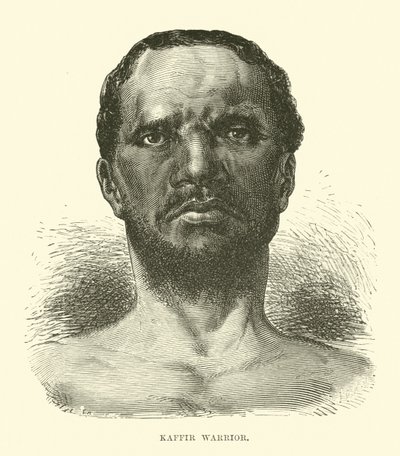 Guerrero cafre de English School