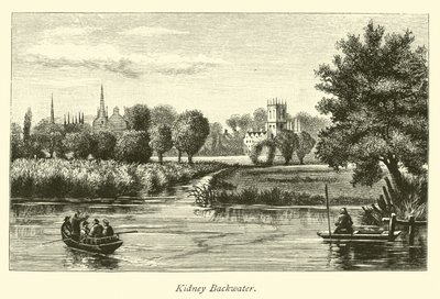 Kidney Backwater de English School