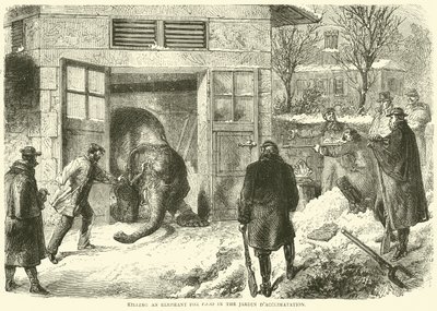 Matando un elefante para comida en el Jardin d