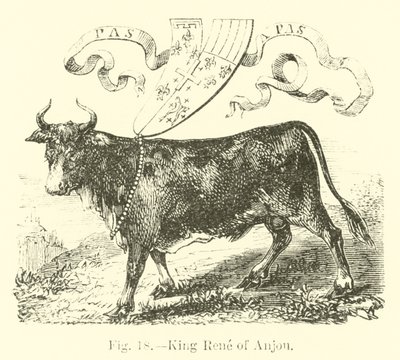 Rey René de Anjou de English School