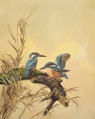 Martines pescadores, c.1890 de English School