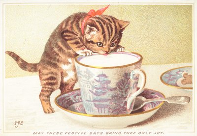 Gatito bebiendo de una taza de té de English School