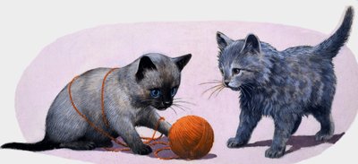 Gatitos jugando con una bola de lana de English School