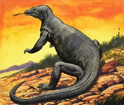 Dragón de Komodo de English School