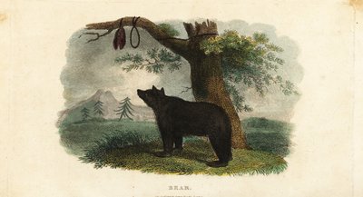 Método de caza de osos del pueblo Koryak en el Lejano Oriente ruso de English School