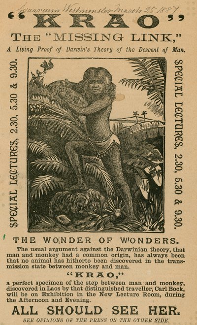 Krao, El Eslabón Perdido, exhibido en el Acuario, Westminster, Londres, en 1887 de English School