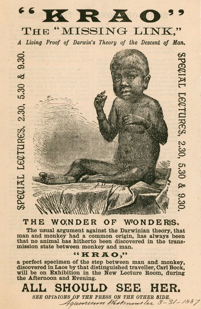 Krao, El Eslabón Perdido, exhibido en el Acuario, Westminster, Londres, en 1887 de English School