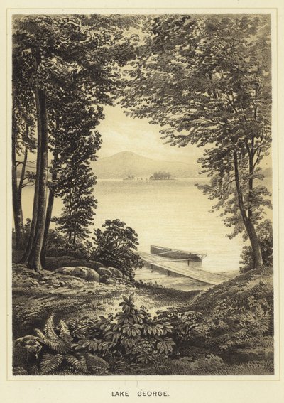 Lago George de English School