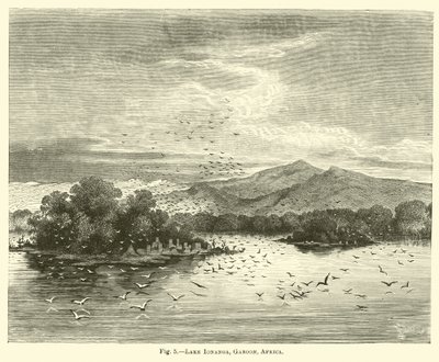 Lago Ionanga, Gabón, África de English School