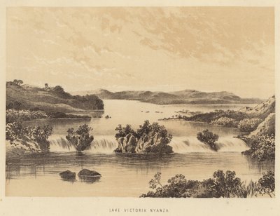 Lago Victoria Nyanza de English School
