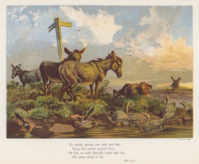 Paisaje con burros y pájaros (litografía en color) de English School