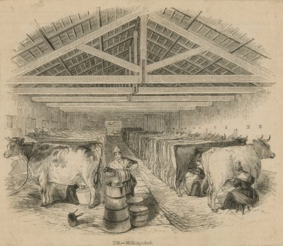 Granja Lechera Laycocks, julio de 1841 de English School