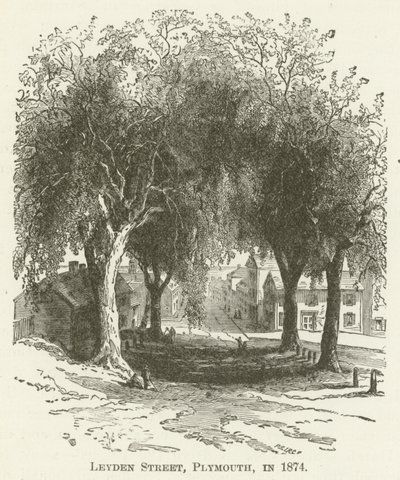 Calle Leyden, Plymouth, en 1874 de English School