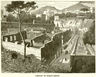 Biblioteca de Herculano de English School