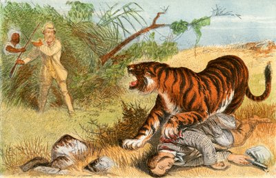 Teniente Rice y el tigre de English School