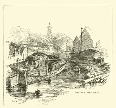 Vida en el río Cantón de English School