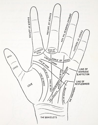 Líneas de la mano de English School
