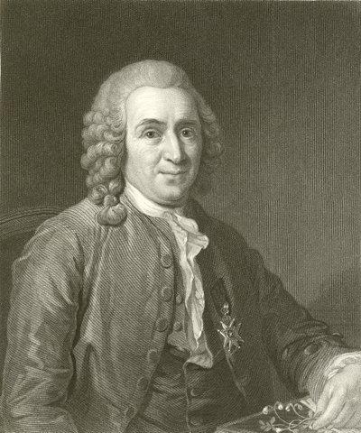 Linnaeus de English School