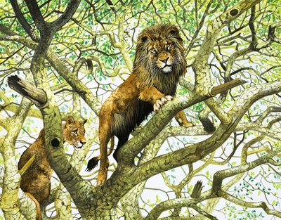 León y leona en un árbol (gouache sobre papel) de English School