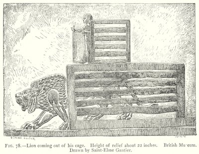 León saliendo de su jaula (grabado) de English School