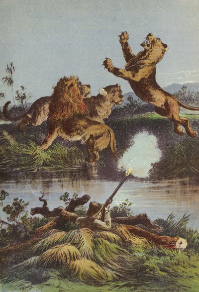 Caza de leones por la noche de English School