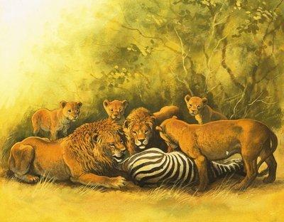 Leones alimentándose de un cadáver de cebra de English School