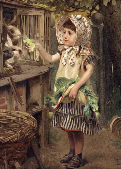 Niña pequeña alimentando conejos de English School