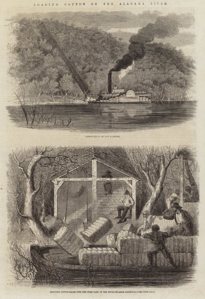 Cargando algodón en el río Alabama de English School