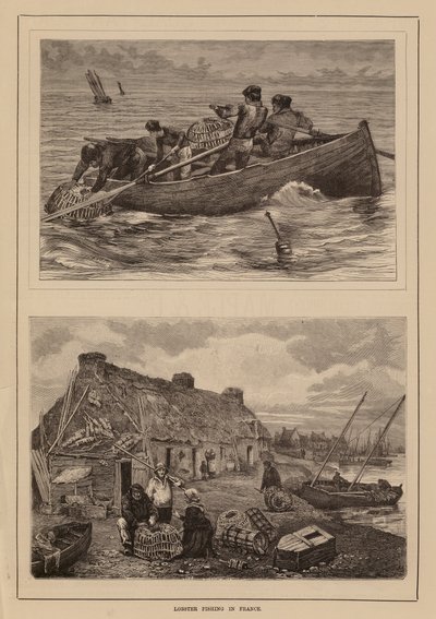 Pesca de langosta, Francia (grabado) de English School