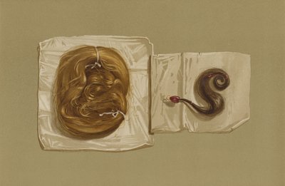 Mechón de Cabello de María Reina de Escocia, Mechón de Cabello del Rey Carlos I de English School