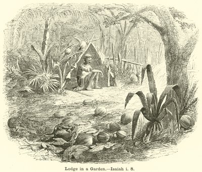 Cabaña en un jardín de English School