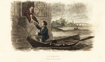 Barquero londinense salvando a un loro parlante perteneciente al rey Enrique VIII de Inglaterra de English School