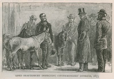 Lord Shaftesbury inspeccionando los burros de los costermongers de English School