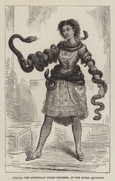 Lualla, la encantadora de serpientes abisinia, en el Royal Aquarium (grabado) de English School