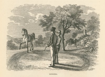 Pulmón (grabado) de English School