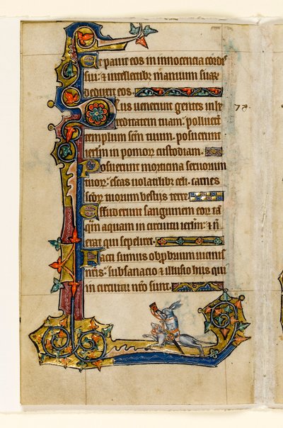 Un conejo montando un sabueso, caza, decoración marginal del Salterio de Macclesfield, Uso de Sarum, East Anglia, c.1330 de English School