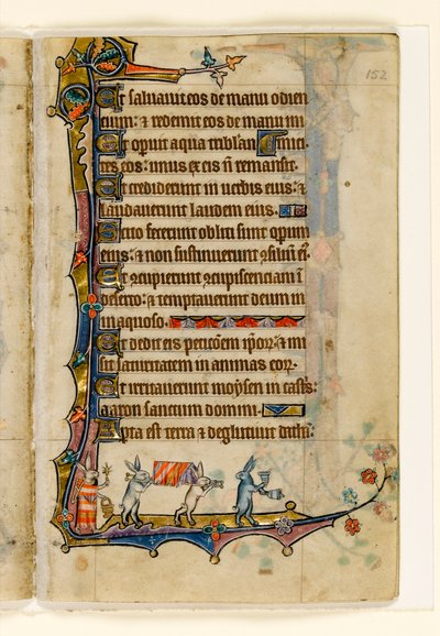 Una procesión fúnebre de conejos, decoración marginal del Salterio de Macclesfield, Uso de Sarum, East Anglia, c.1330 de English School