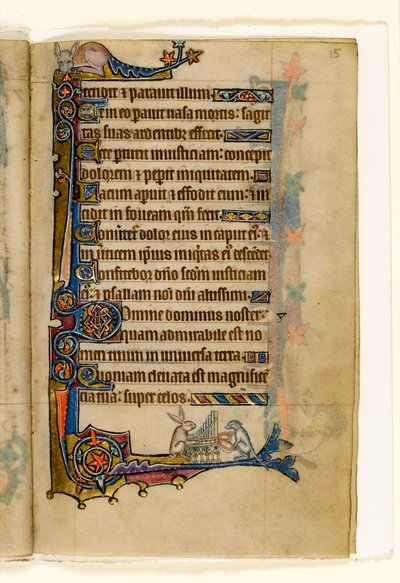 Una liebre y un perro tocando un órgano, decoración marginal del Salterio de Macclesfield, Uso de Sarum, East Anglia, c.1330 de English School