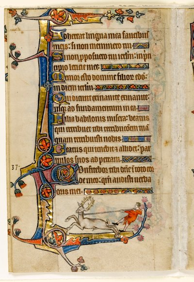 Un ciervo lazado por un hombre, decoración marginal del Salterio de Macclesfield, Uso de Sarum, East Anglia, c.1330 de English School
