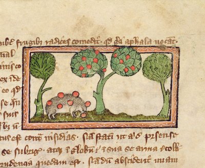 MS 379 f.13r Un erizo recogiendo manzanas, detalle de un Bestiario, Inglés de English School