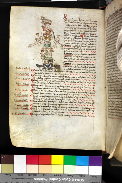 MS Hunter 251 f.47v, ilustración de un 