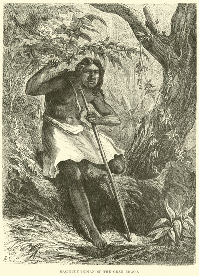 Indio Machicuy del Gran Chaco de English School